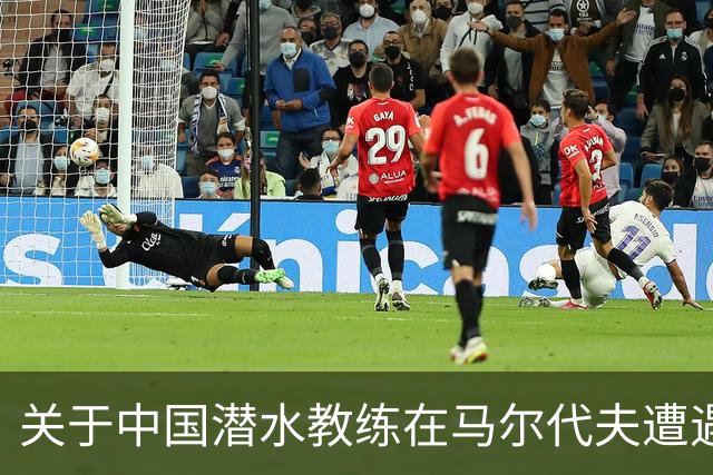关于中国潜水教练在马尔代夫遭遇水下冲突事件的调查概述